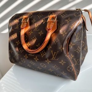 Louis Vuitton Monogram Speedy 25 Bag